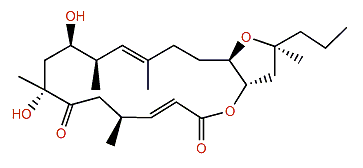 Amphidinolide Y